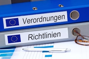 Wenn Sie Ihre Schulden im Ausland nicht bezahlen, kann per europäischem Mahnverfahren eine Zwangsvollstreckung erwirkt werden.